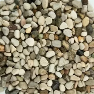 Ghiaino pisello